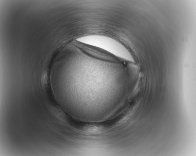 X0000088750597200706212116