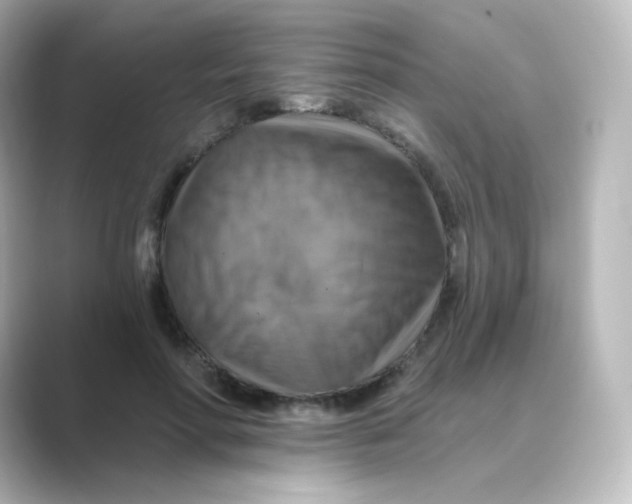 X0000088750598200706212116