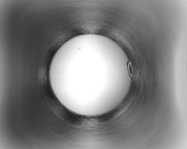 X0000088750599200706212116