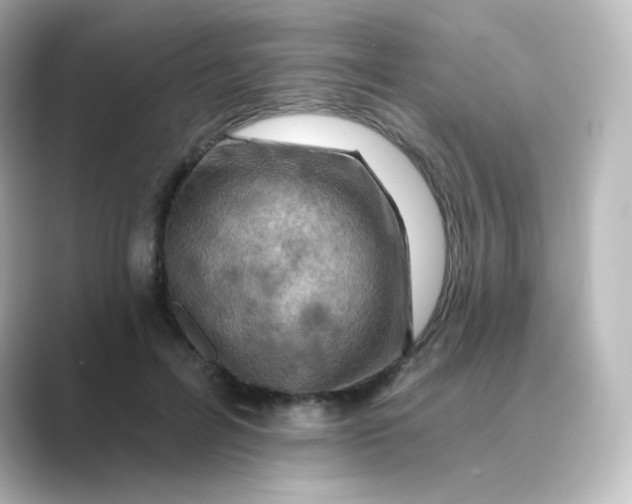 X0000088750600200706212116