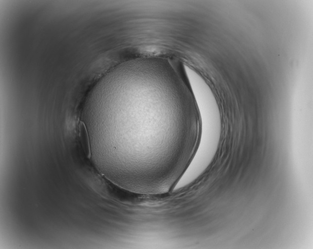 X0000088750601200706212116