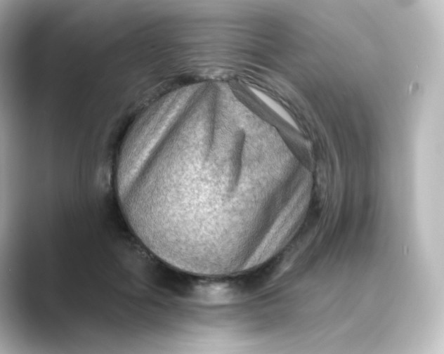 X0000088750602200706212116