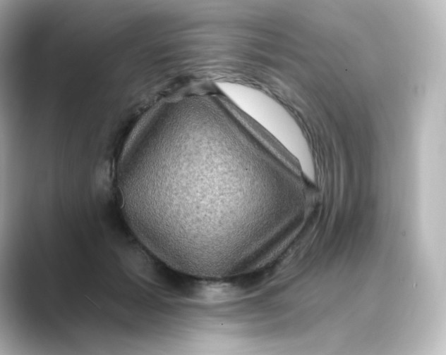 X0000088750605200706212116