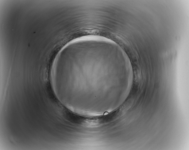 X0000088750606200706212116