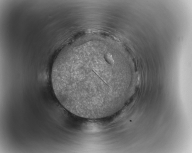 X0000088750608200706212116