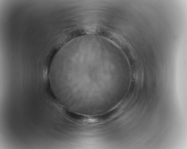 X0000088750610200706212116