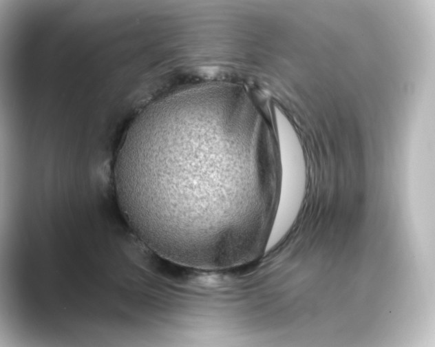 X0000088750611200706212116