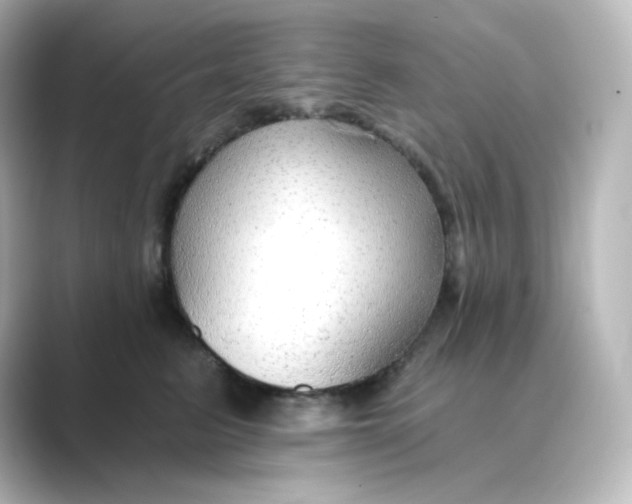 X0000088750615200706212116