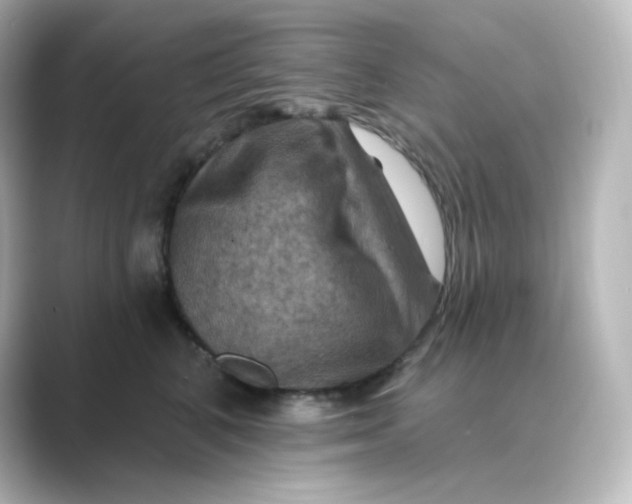 X0000088750616200706212116