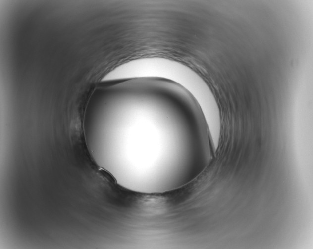 X0000088750617200706212116