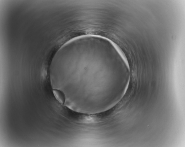 X0000088750618200706212116