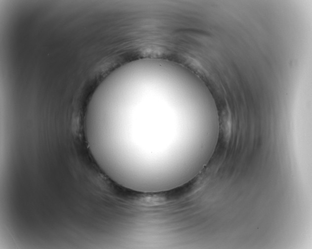 X0000088750619200706212116