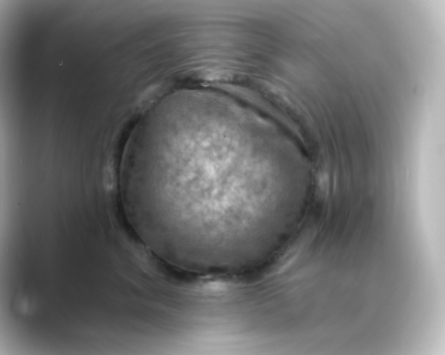 X0000088750620200706212116