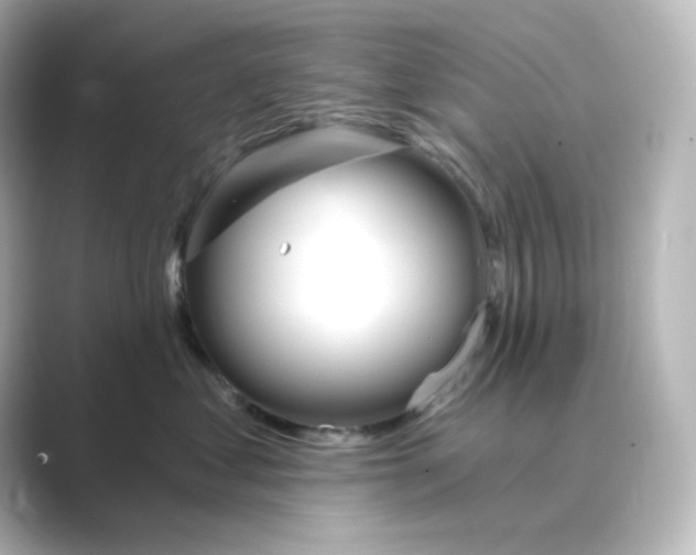 X0000088750621200706212116