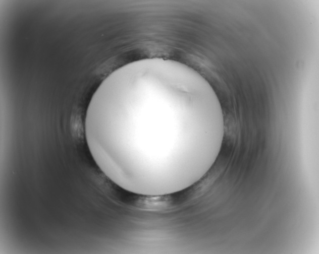 X0000088750622200706212116