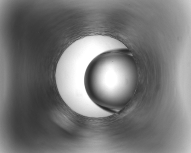 X0000088750624200706212116