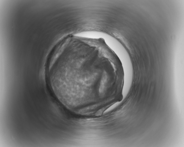 X0000088750626200706212115