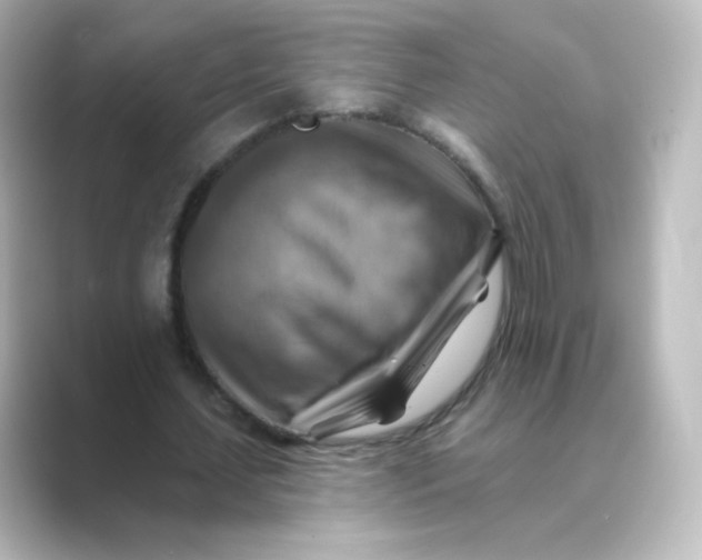 X0000088750627200706212115