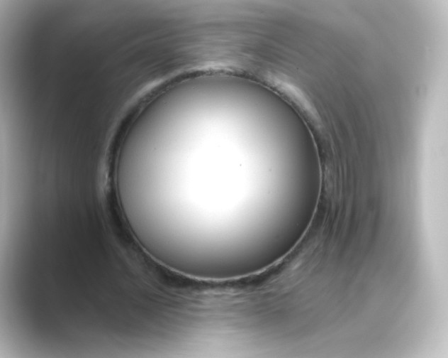 X0000088750628200706212115