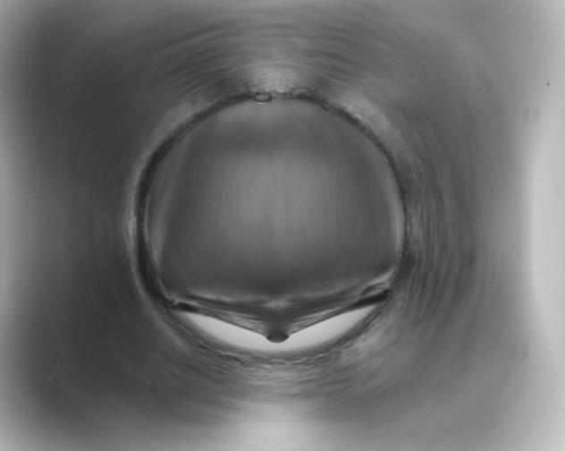 X0000088750630200706212115