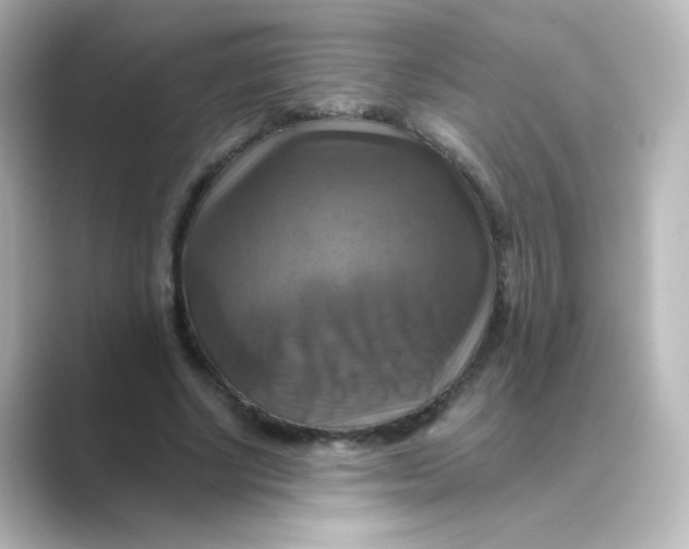 X0000088750634200706212115