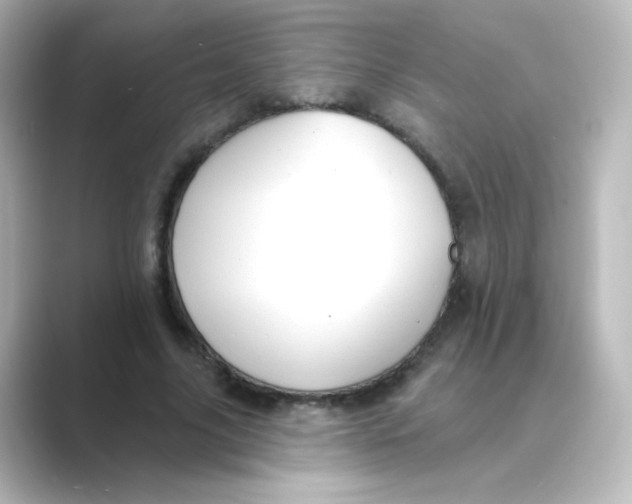 X0000088750635200706212115