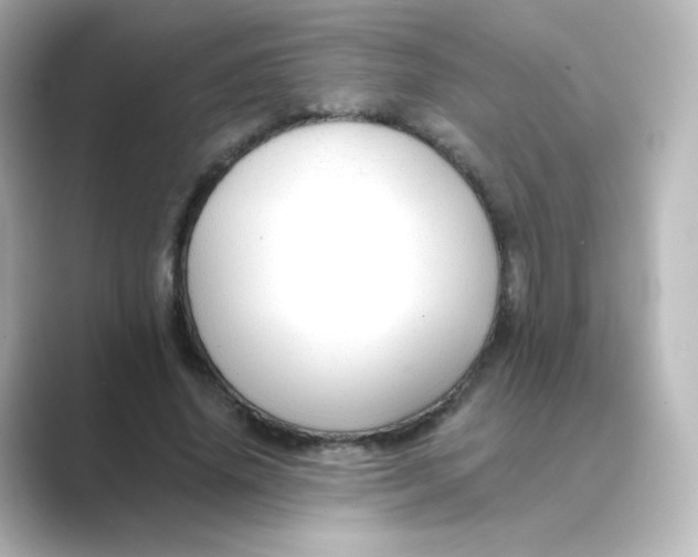 X0000088750636200706212115