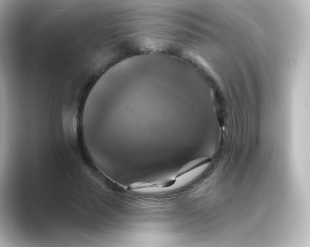 X0000088750637200706212115