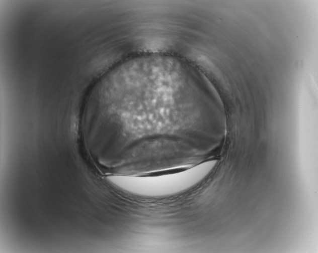 X0000088750640200706212115