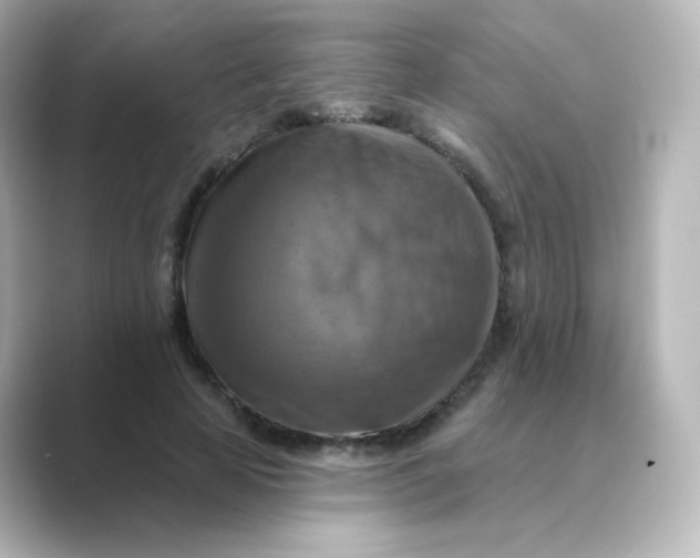 X0000088750641200706212115