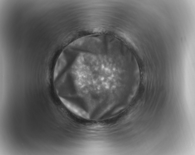 X0000088750643200706212115