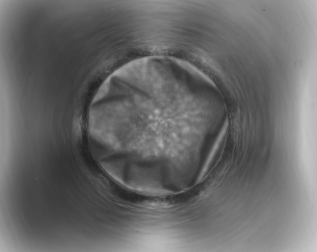 X0000088750644200706212115