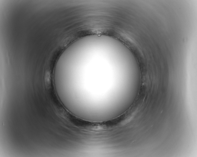 X0000088750646200706212115