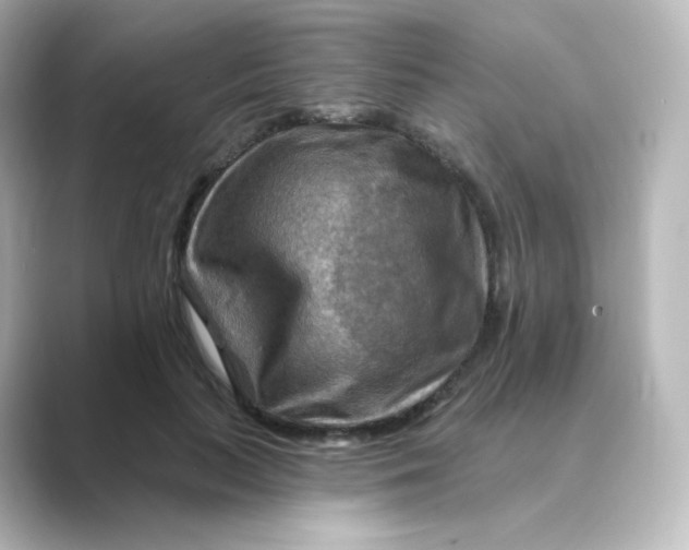 X0000088750647200706212115