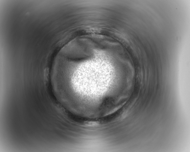 X0000088750649200706212115