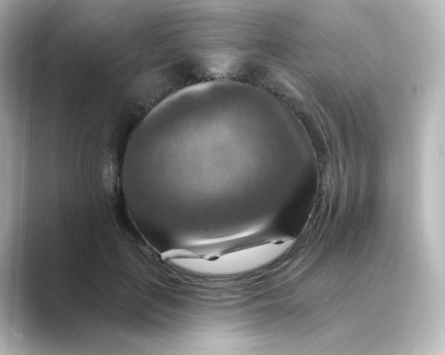 X0000088750651200706212115