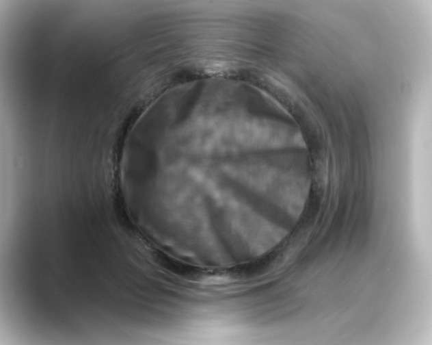 X0000088750653200706212115