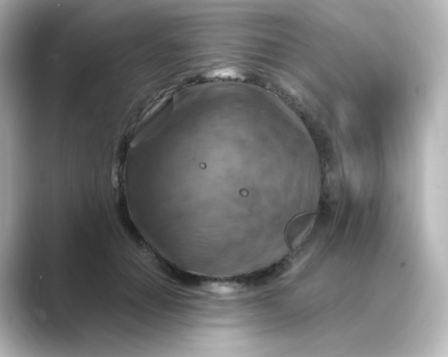 X0000088750654200706212115