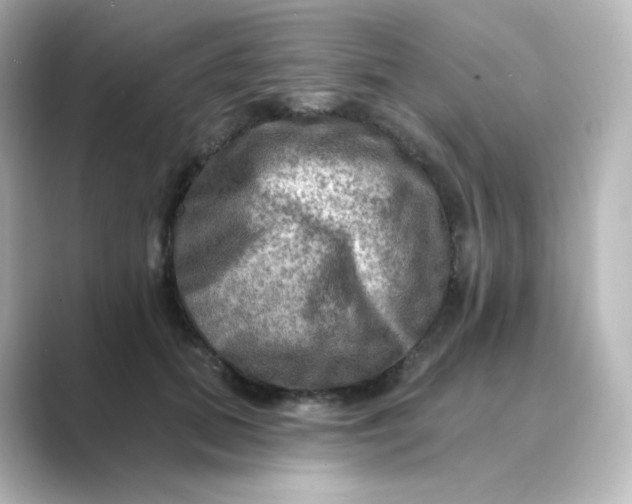 X0000088750655200706212115