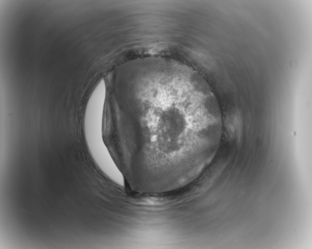 X0000088750657200706212115