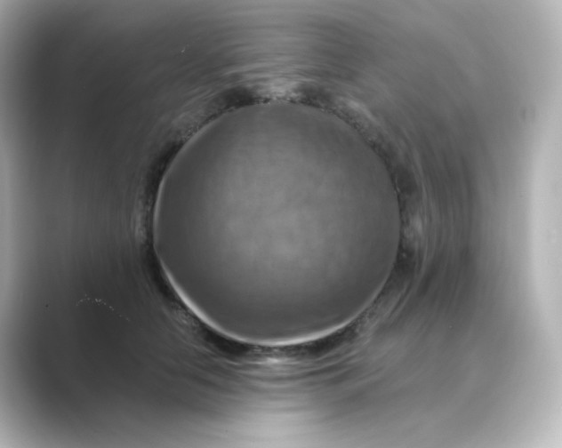 X0000088750658200706212115