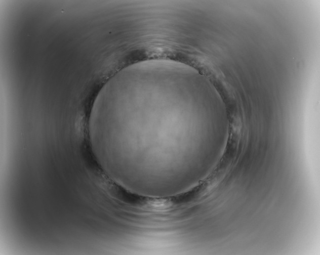 X0000088750659200706212115