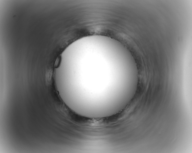 X0000088750660200706212115