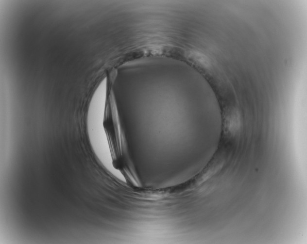 X0000088750661200706212115