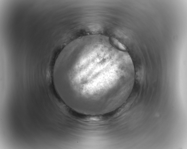 X0000088750662200706212115