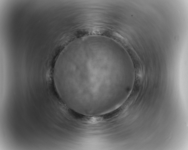 X0000088750663200706212115