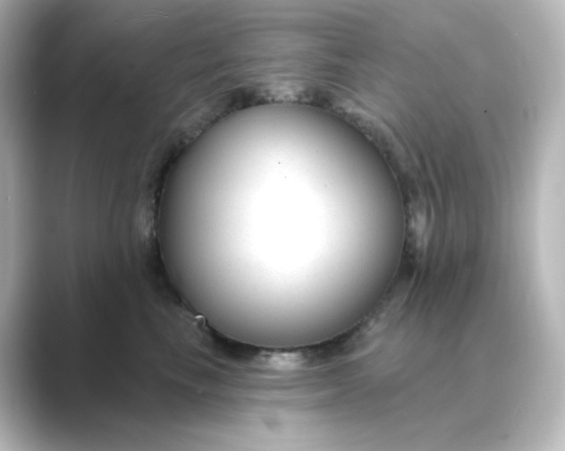 X0000088750665200706212116