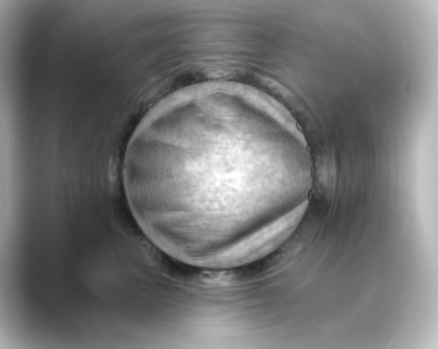 X0000088750667200706212116