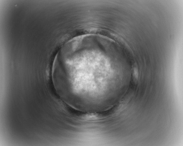 X0000088750668200706212116