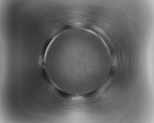 X0000088750669200706212116